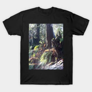 forest "troll" in the snow #2 T-Shirt